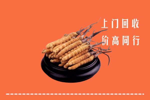 长武县回收冬虫夏草