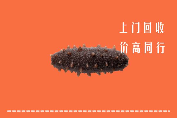 长武县回收海参