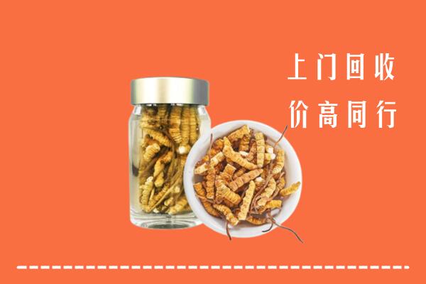 长武县回收冬虫夏草